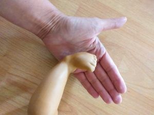 Tréninkový model sádrování