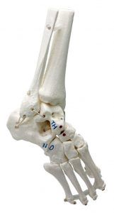 Zdroj: C-Prodirect.com