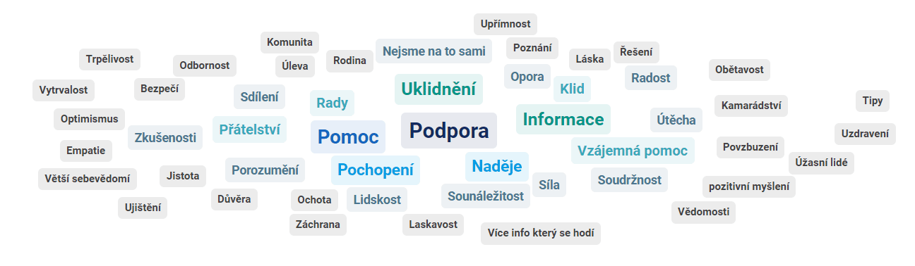 Visual_co prinasi lidem skupina3 Visual_co prinasi lidem skupina3