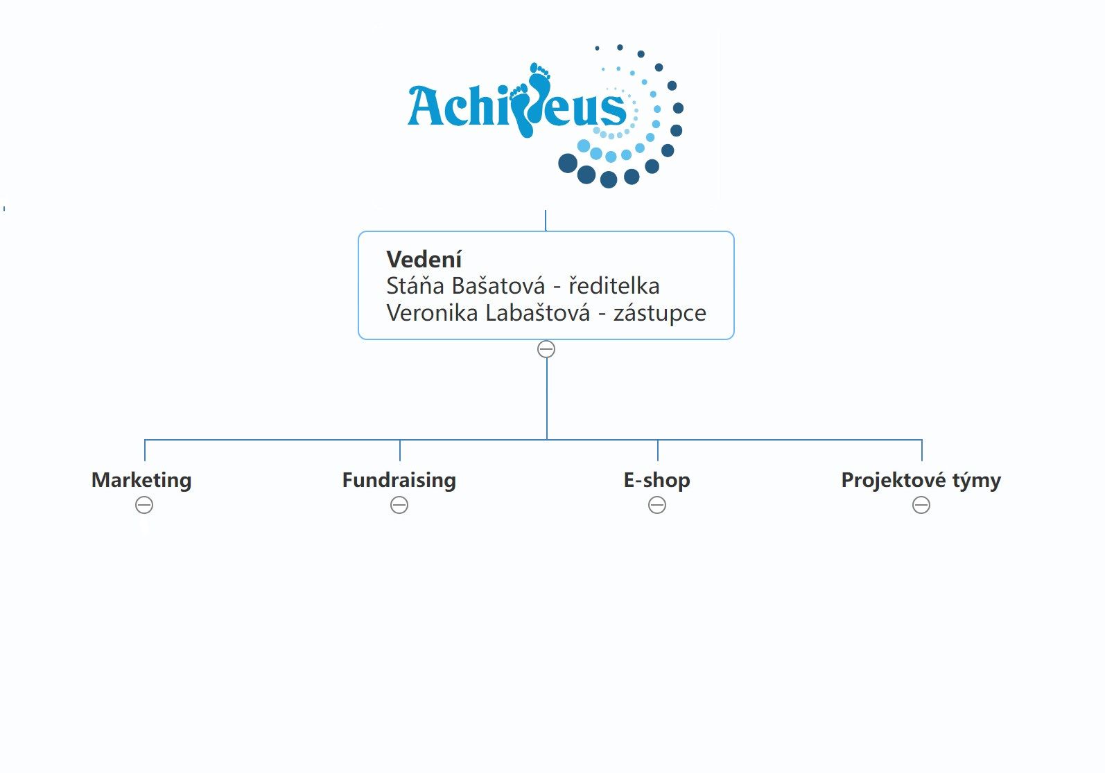 organizační struktura - obecná na web